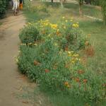 Vraj-Yatra-2014- (217)